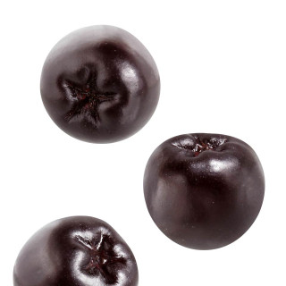 Arónie – černý jeřáb